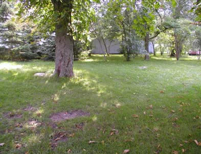 [ Area Where Mob Attacked Tom Before He Was Dragged Back Into the House, Thanks to Robert Salts, present-day owner of the Donnelly Homestead, who allowed this photograph to be taken. Copyright Great Unsolved Canadian Mysteries Project, Jennifer Pettit,   ]