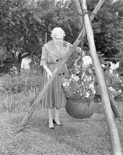 [ Woman Pictured with a Kettle Supposedly Owned by the Donnellys, Many people claim to own Donnelly items.  While some of these items are authentic, many have been proven to be fakes.   The attention received by these items (witnessed by auctions, etc.) reveals that interest in the Donnelly story remains high., Unknown, University of Western Ontario Archives  ]