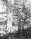 Mark Robinson examines marks on tree