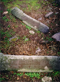 Maglehj stone. Runestone at the Maglehj burial mound near lstykke church, Sealand, Denmark.