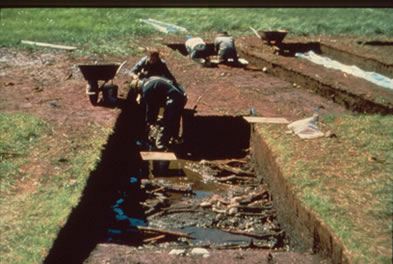 Fouilles de la tourbire, strate du milieu