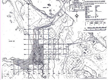 [ Site Grid Map, A grid system covering the entire site was set up by professional surveyors.  All individual excavation and photo maps were tied in to this system.  The elevations were also mapped., Robin Letellier, L'Anse aux Meadows Archaeological Excavation Record 2/34 ]