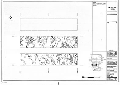 [ Trench Survey, Each trench was also recorded by professional surveyors., David Brennan, Parks Canada Atlantic Region Restoration Section HALAM 77/R14 ]