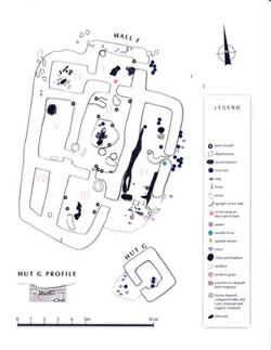 [ F-G Complex Plan, Hall F
Hall F was the largest building on the site, with a floor space of 1728 square feet.  It had six rooms with a lean-to shed.  There were three living rooms in a row I, II, and III, all with fireplaces. Room I was small and private. This is where the leader of the settlement resided. Rooms II and III were classical sklar {singular: skli] with platforms along the side walls and a longfire between them.  

Room IV was a kitchen. A large stone oven in the form of a double slate box covered with a mound of small stones stood in the southwestern corner. It had collapsed so the stones were strewn all over the firebox.  

Room V was a large storage room.  A large deep pit in the northeastern corner contained charcoal and a few burnt bones.  It had either a big wooden vat that had burnt, or a cooking pit.

Room VII was discovered later than the other rooms, and it is not known where its door was. It was also for storage. 

Room VI was a shed, open to the south. Post moulds in an uneven line and the imprint of a log are from a  frame supporting a boat being repaired.  The shed is almost 9 m long. What kind of boat do you think was repaired here?

A pit in the middle of the floor and through the eastern wall is modern. The soil from the pit and objects in it were dumped outside so that they ended up outside the building.

Hut G
Hut G was a small hut set into a slope.  It had a fireplace by its southeastern wall.  The profile shows that after its abandonment by the Norse,  it had been used by later people.
, Vis--Vis Graphics,   ]